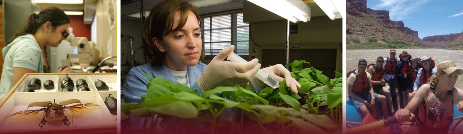 Texas A&M Career Center - Rangeland, Wildlife, & Fisheries Management